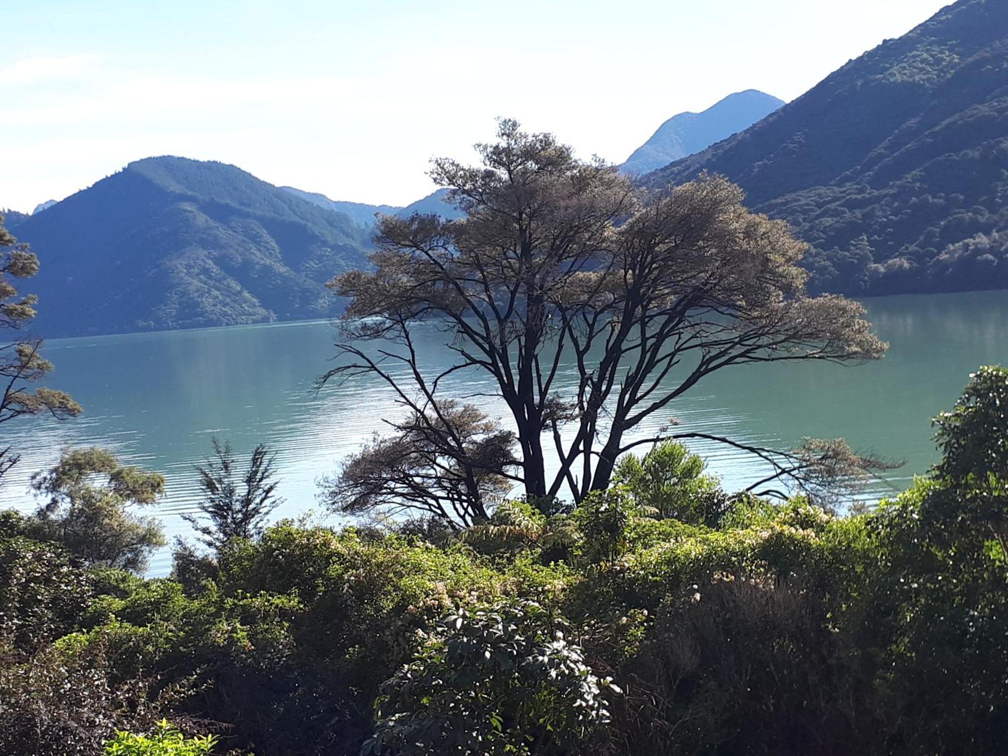 Marlborough Sounds Accommodation Havelock Eksteriør bilde